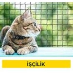 Pencere dışına kafes tel yapılması (Malzeme Hariç) (İşçilik) Pencere dışına kafes tel yapılması (Malzeme Hariç) (İşçilik)