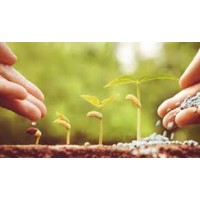 Ekolojik toprak ve organik gübre katkı maddesi (mikrobiyal ve enzim içerikli organik gübreler ile yapılan toprak düzenleyici)